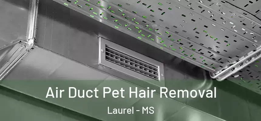  Air Duct Pet Hair Removal Laurel - MS