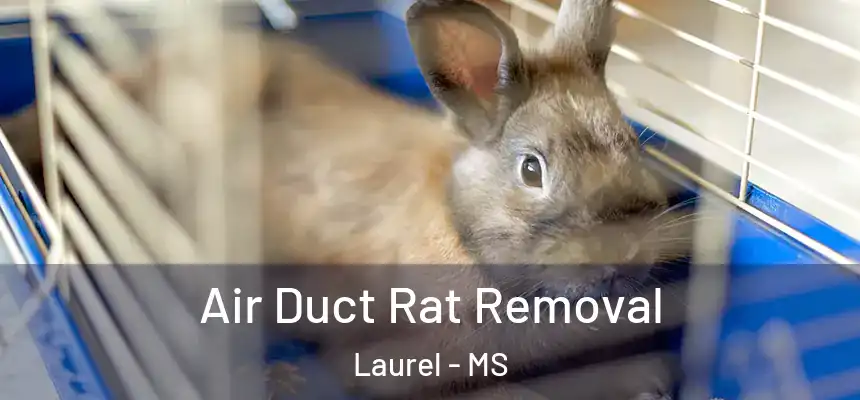  Air Duct Rat Removal Laurel - MS