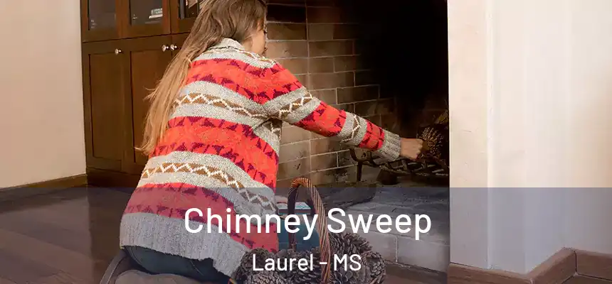  Chimney Sweep Laurel - MS