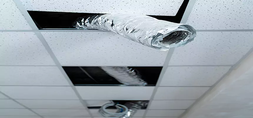 Affordable HVAC Sanitizing After Pest Removal in Laurel