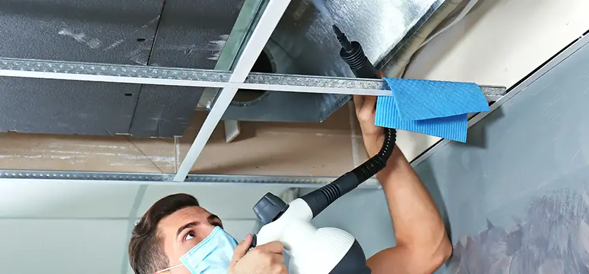 Our Air Duct Rodent Removal Services in Laurel, MS