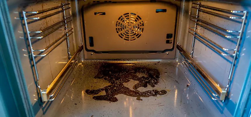 Our Dryer Vent Mold Cleaning Services in Laurel, MS