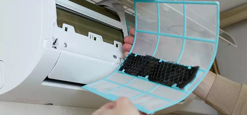 Gentle Ductwork Odor-Control Pet Dander Duct Cleaning in Laurel, MS