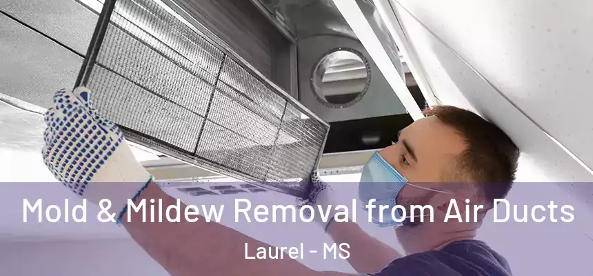  Mold & Mildew Removal from Air Ducts Laurel - MS