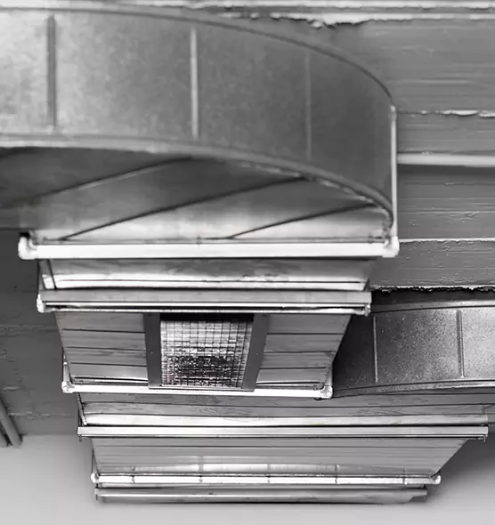 Professional Air Duct Pest Removal in Laurel, MS