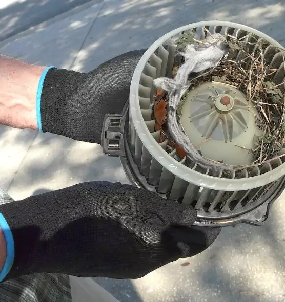 About Air Duct Rat Removal in Laurel, MS