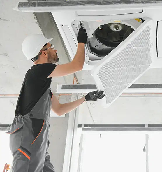 About Air Duct Rodent Removal in Laurel, MS