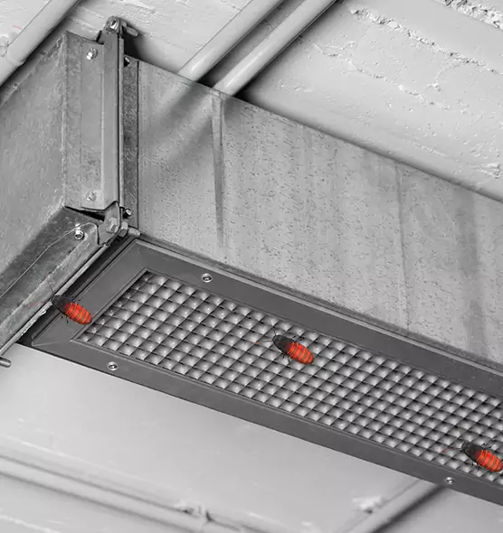 Affordable Insect Removal from Air Ducts in Laurel, MS