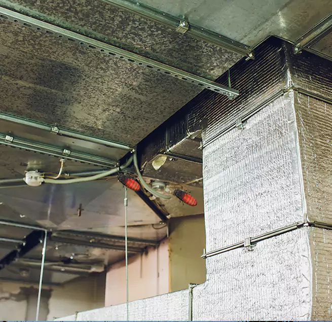 Why Homeowners & Businesses Trust Us in Laurel, MS?