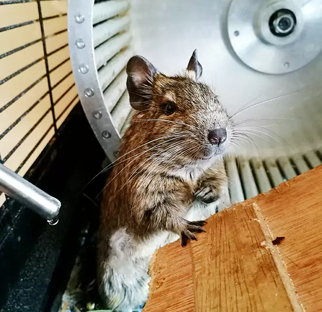 Why Homeowners & Businesses Trust Us Laurel, MS?