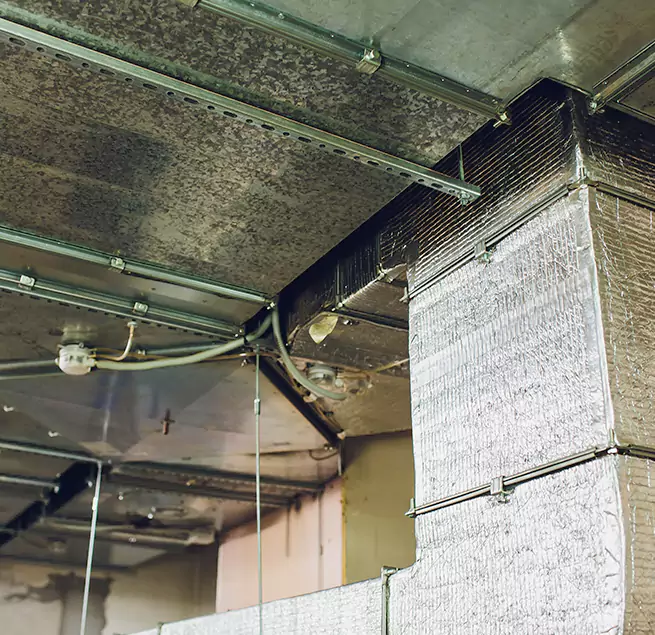 Why Homeowners & Businesses Trust Us in Laurel, MS?